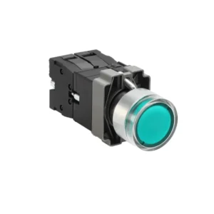 Flat Head Button Switch with Light