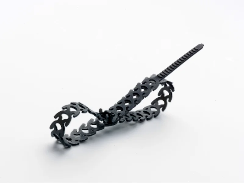 Rapstrap