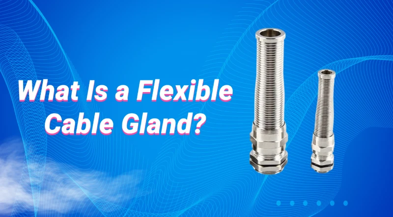 What Is a Flexible Cable Gland?