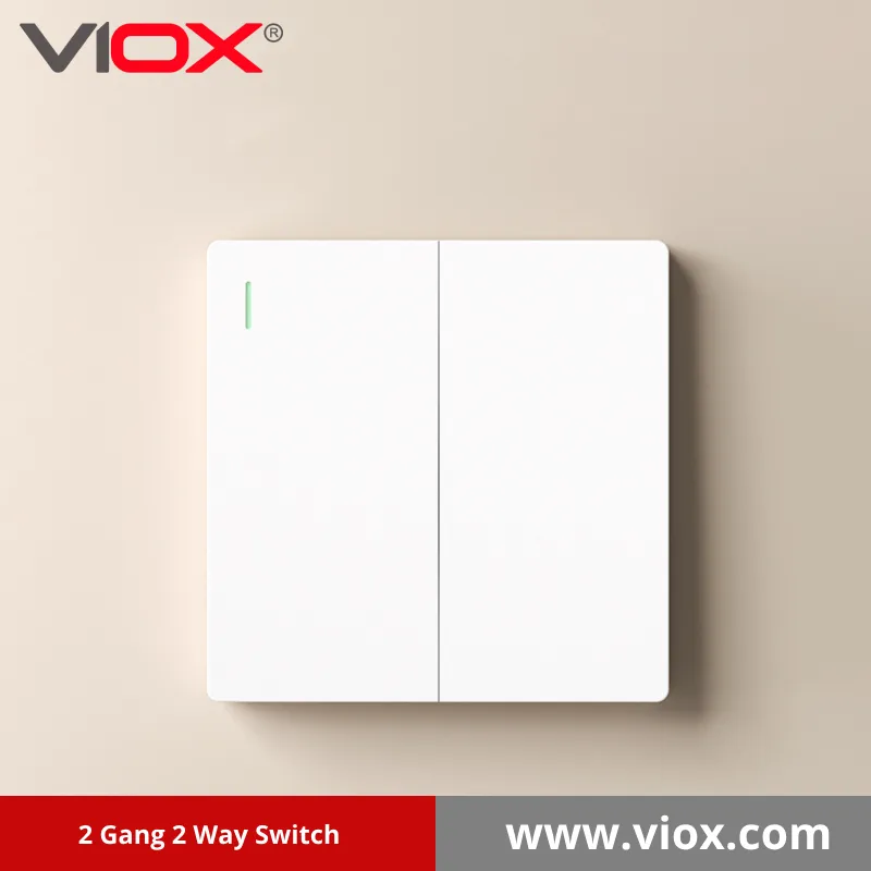 2 Gang 2 Way Switch